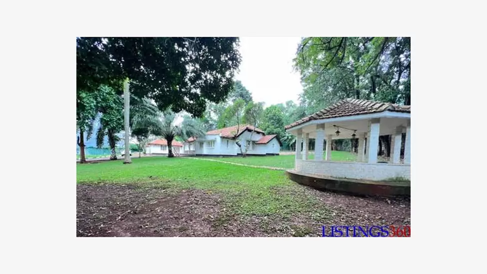14,000,000 USh Office Space For Rent In Kololo